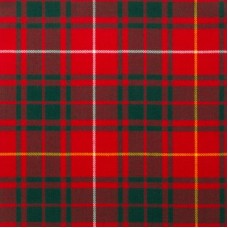 Reiver Light Weight Tartan Fabric - Bruce Modern